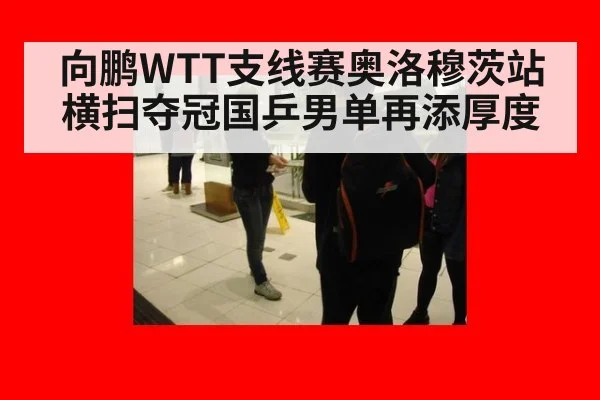 向鹏WTT支线赛奥洛穆茨站横扫夺冠国乒男单再添厚度