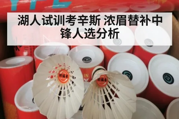 湖人试训考辛斯 浓眉替补中锋人选分析